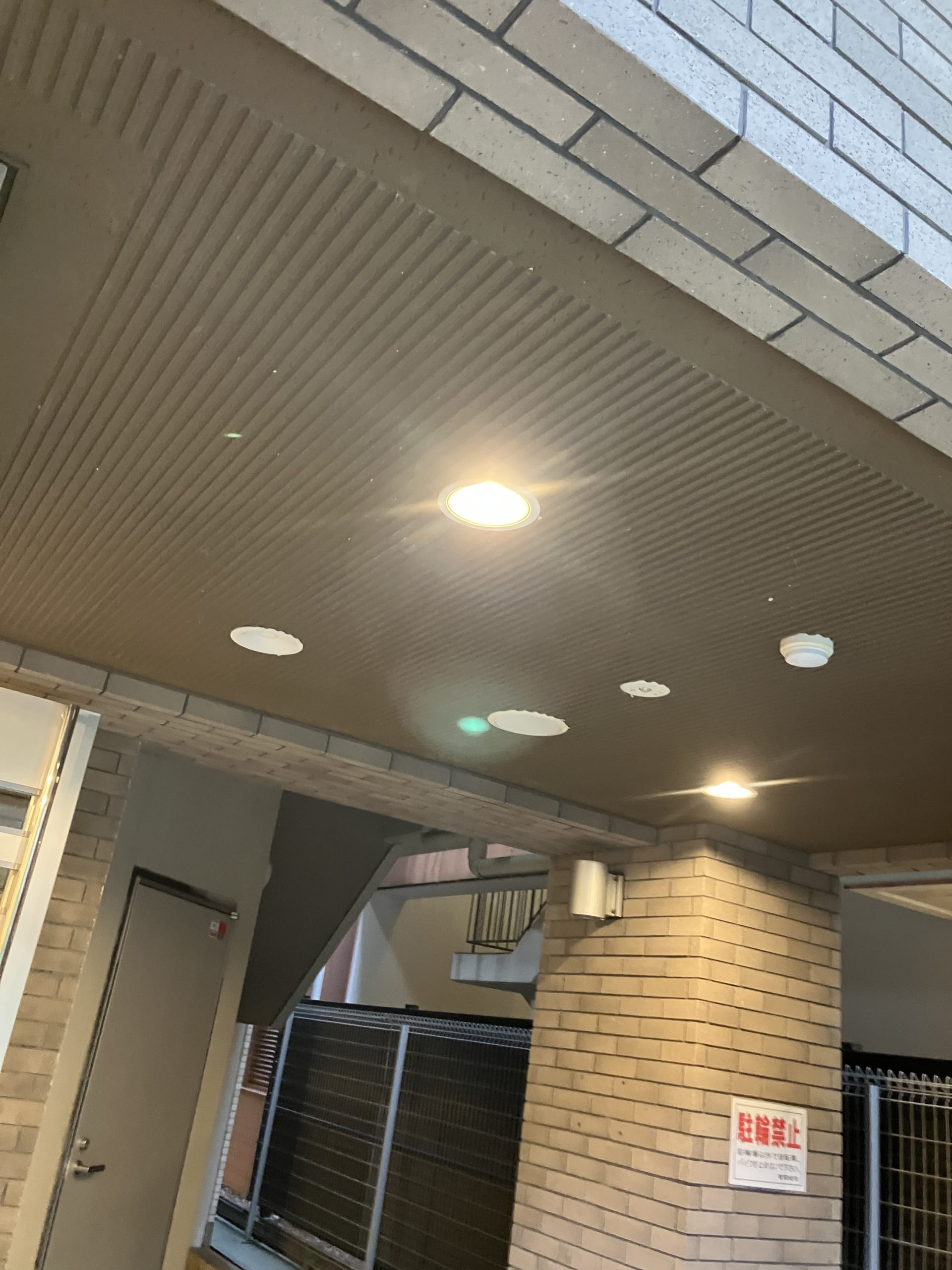 高所にあるくもの巣の防除作業で共用部を綺麗に🕷🚫